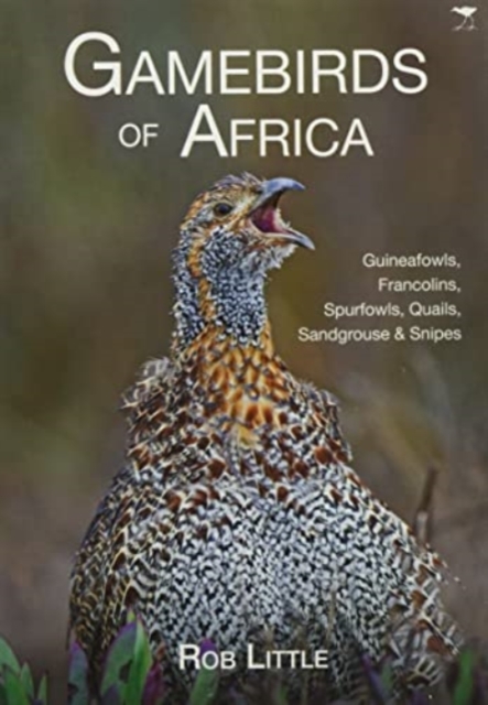 Gamebirds of Africa : Guineafowls, Francolins, Spurfowls, Quails, Sandgrouse & Snipes, Paperback / softback Book