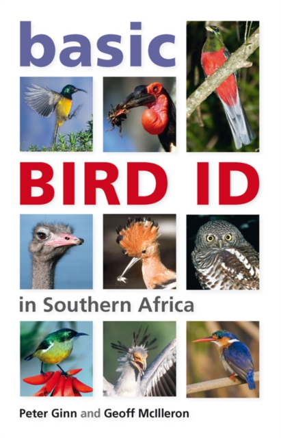 Basic Bird ID in Southern Africa, PDF eBook
