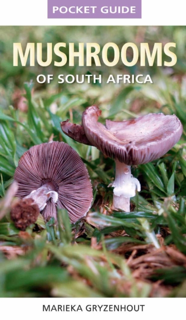 Pocket Guide to Mushrooms of South Africa, EPUB eBook