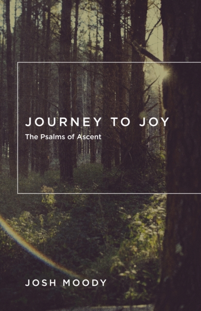 Journey to Joy, EPUB eBook