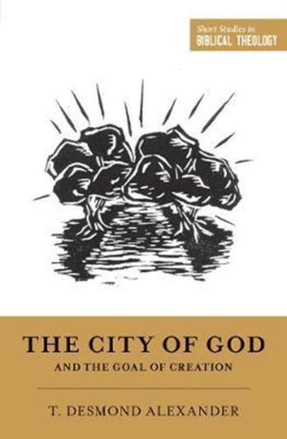 The City of God and the Goal of Creation, Paperback / softback Book