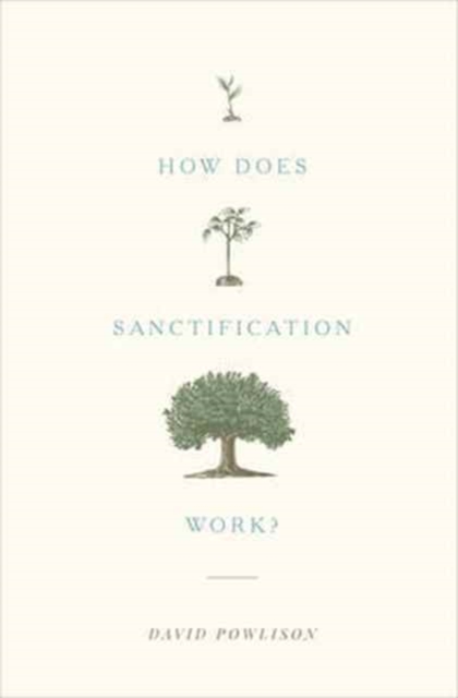 How Does Sanctification Work?, Paperback / softback Book