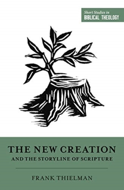 The New Creation and the Storyline of Scripture, Paperback / softback Book