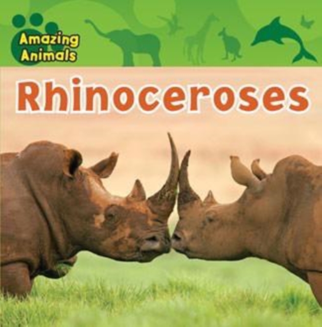 Rhinoceroses, PDF eBook