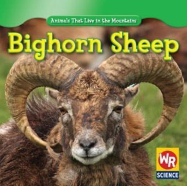 Bighorn Sheep, PDF eBook