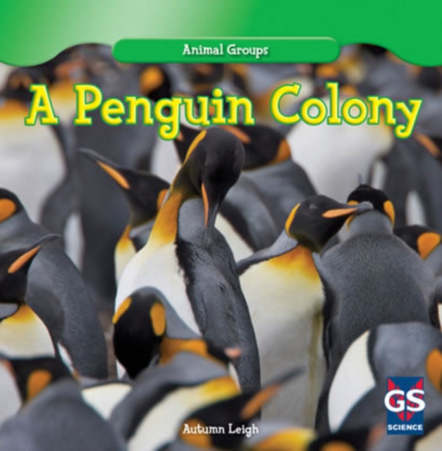 A Penguin Colony, PDF eBook