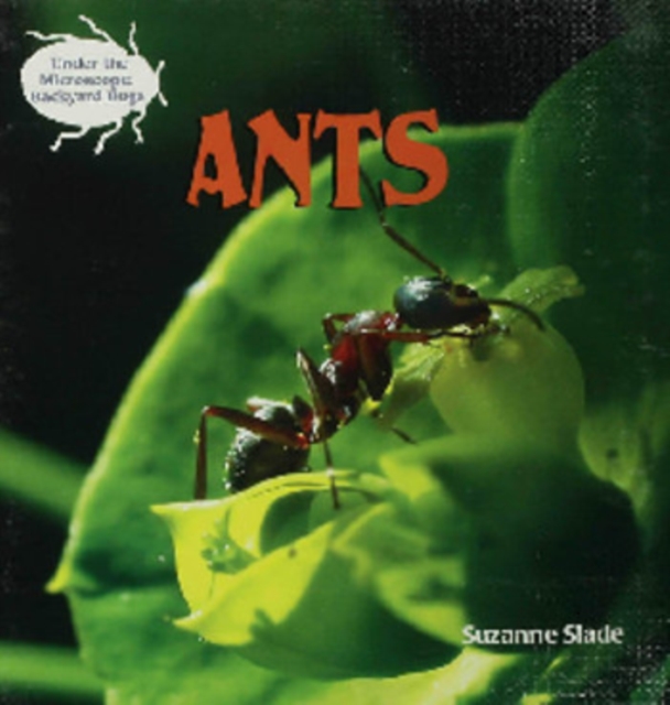Ants, PDF eBook