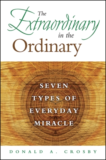 The Extraordinary in the Ordinary : Seven Types of Everyday Miracle, EPUB eBook