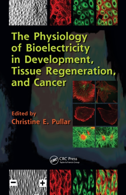 The Physiology of Bioelectricity in Development, Tissue Regeneration and Cancer, PDF eBook