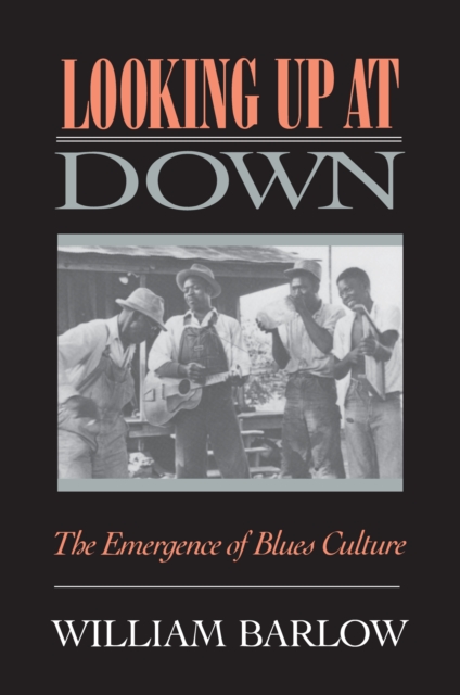 Looking Up at Down : The Emergence of Blues Culture, PDF eBook