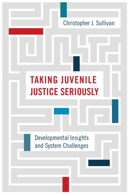 Taking Juvenile Justice Seriously : Developmental Insights and System Challenges, PDF eBook