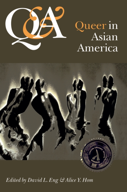 Q & A Queer And Asian : Queer & Asian In America, PDF eBook
