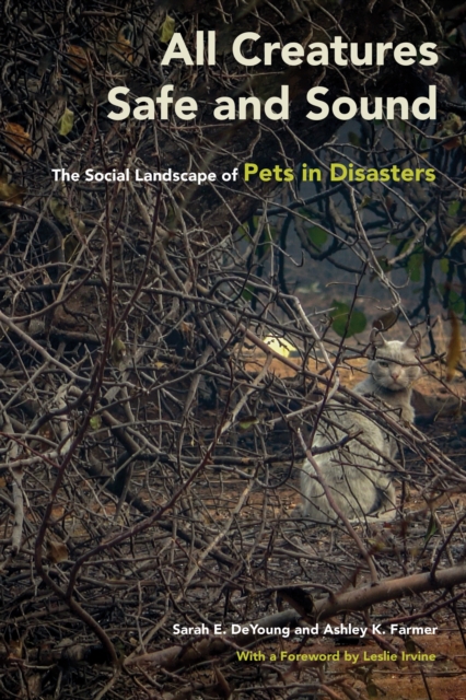 All Creatures Safe and Sound : The Social Landscape of Pets in Disasters, PDF eBook