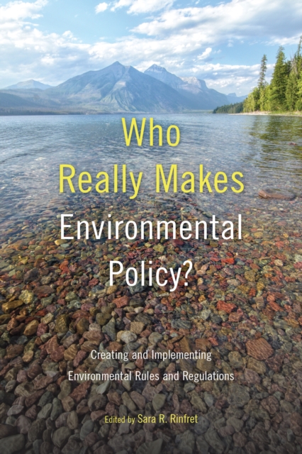 Who Really Makes Environmental Policy? : Creating and Implementing Environmental Rules and Regulations, PDF eBook
