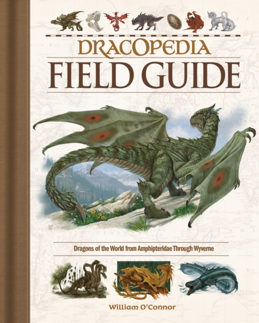 Dracopedia Field Guide : Dragons of the World from Amphipteridae through Wyvernae, Hardback Book
