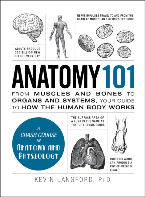 Anatomy 101 : From Muscles and Bones to Organs and Systems, Your Guide to How the Human Body Works, EPUB eBook