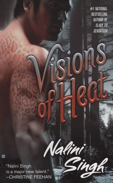 Visions of Heat, EPUB eBook