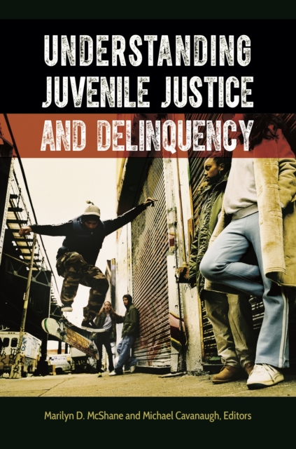 Understanding Juvenile Justice and Delinquency, EPUB eBook