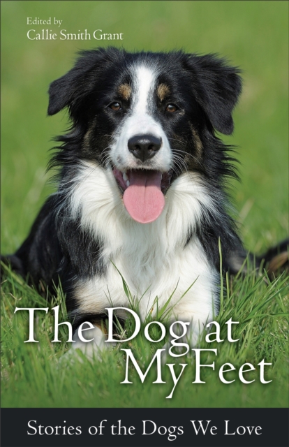 The Dog at My Feet : Stories of the Dogs We Love, EPUB eBook