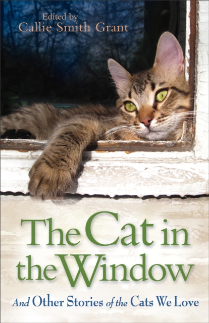 The Cat in the Window : And Other Stories of the Cats We Love, EPUB eBook