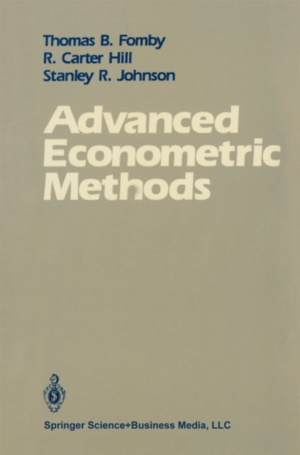 Advanced Econometric Methods, PDF eBook
