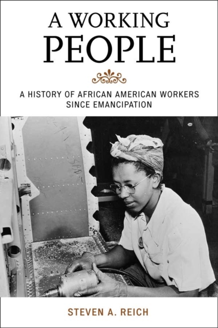 Working People : A History of African American Workers Since Emancipation, EPUB eBook