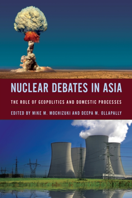 Nuclear Debates in Asia : The Role of Geopolitics and Domestic Processes, EPUB eBook