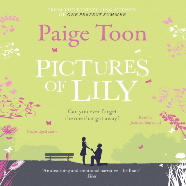 Pictures of Lily, eAudiobook MP3 eaudioBook