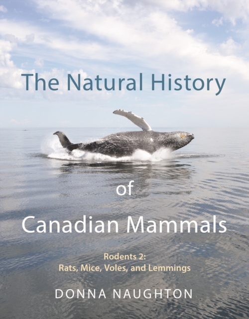 The Natural History of Canadian Mammals : Rats, Mice, Voles and Lemmings (Rodents 2), EPUB eBook