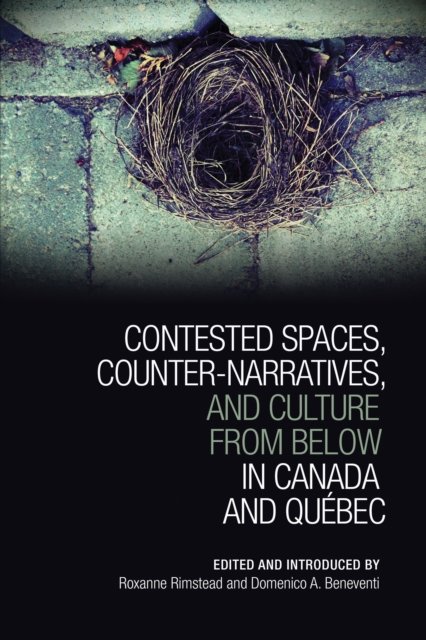 Contested Spaces, Counter-narratives, and Culture from Below in Canada and Quebec, EPUB eBook