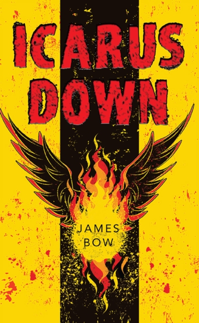 Icarus Down, EPUB eBook