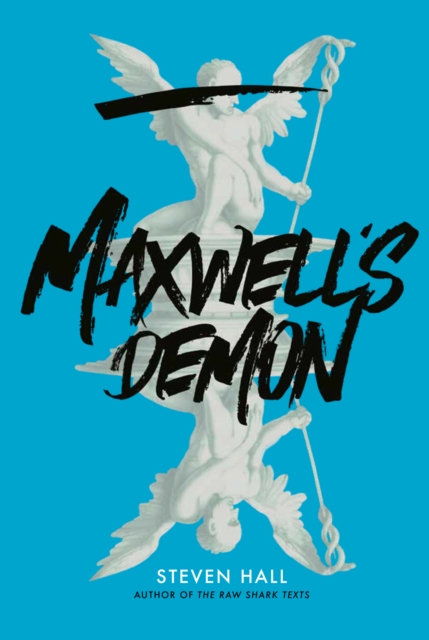 Maxwell's Demon : A Novel, EPUB eBook