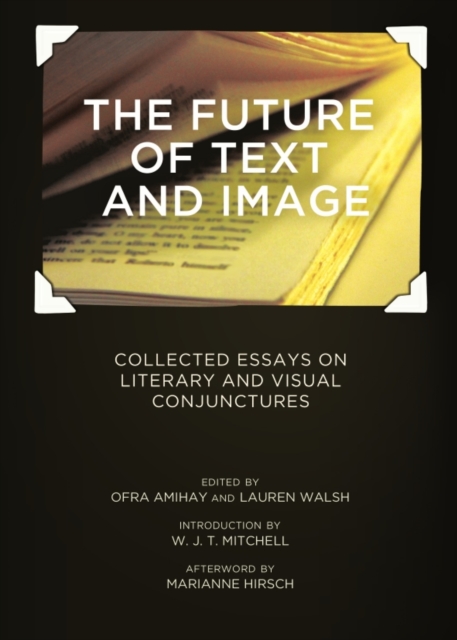 The Future of Text and Image : Collected Essays on Literary and Visual Conjunctures, PDF eBook