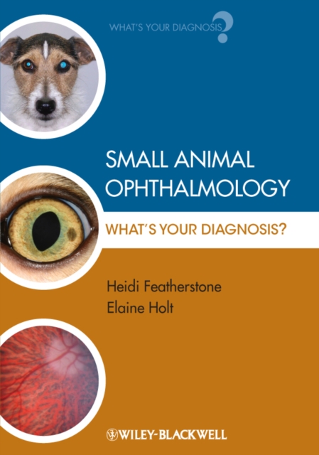 Small Animal Ophthalmology : What's Your Diagnosis?, PDF eBook