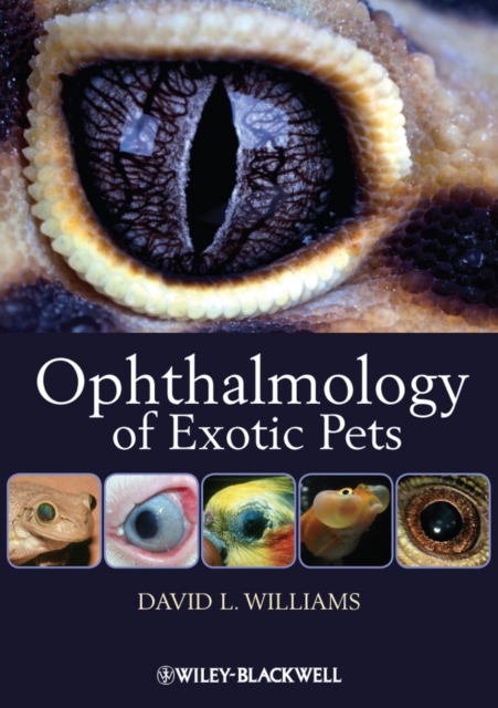 Ophthalmology of Exotic Pets, PDF eBook