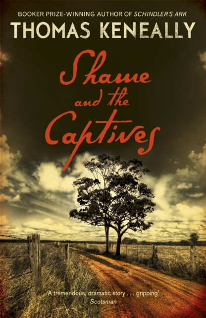 Shame and the Captives, Paperback / softback Book