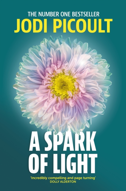 A Spark of Light : The heart-stopping must-read from No.1 Sunday Times Bestseller!, EPUB eBook