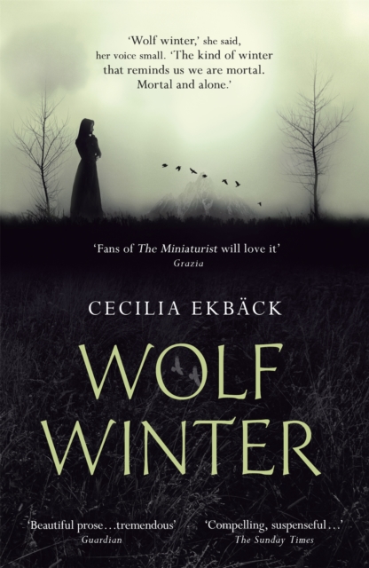 Wolf Winter : Winner of the 2016 HWA Goldsboro Debut Crown Award, Paperback / softback Book