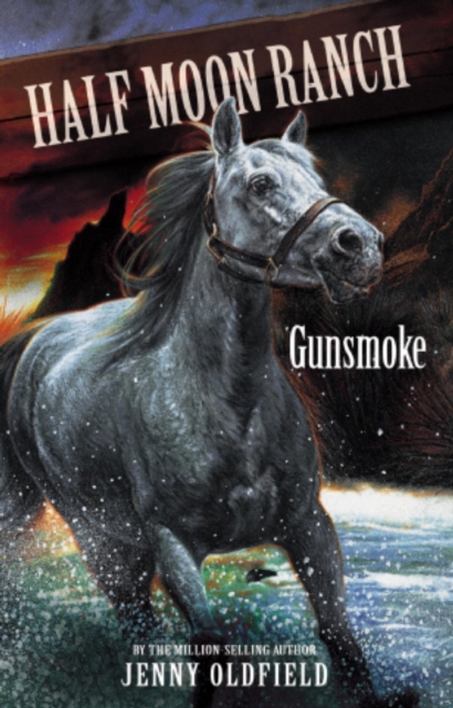 Gunsmoke : Book 11, EPUB eBook