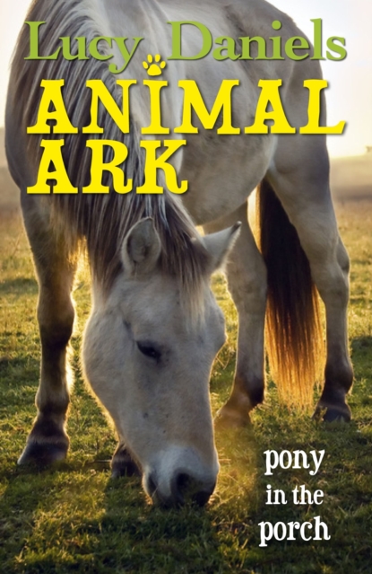 Pony in the Porch, EPUB eBook