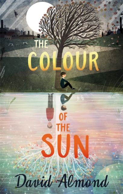 The Colour of the Sun, Paperback / softback Book