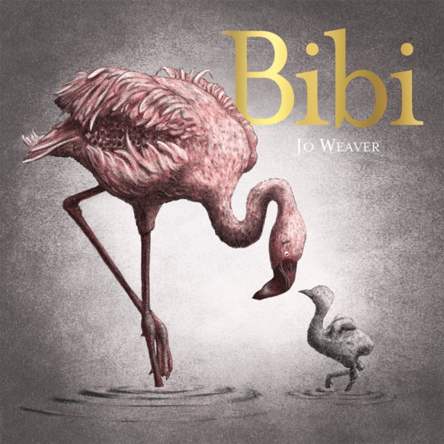 Bibi : A flamingo's tale, Paperback / softback Book