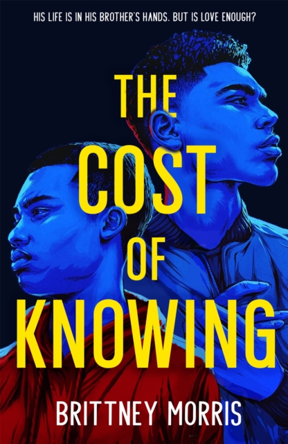 The Cost of Knowing, Paperback / softback Book
