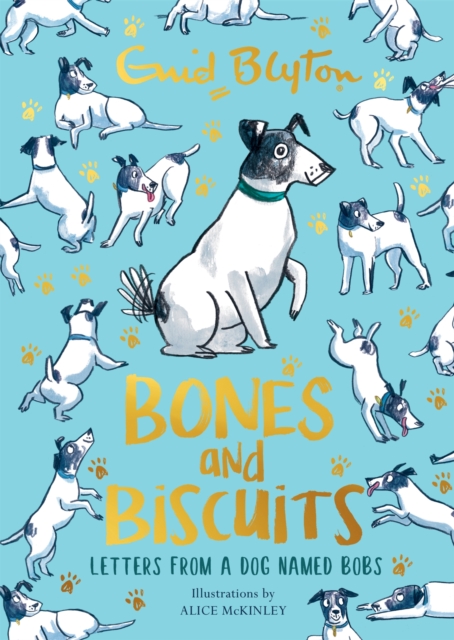 Bones and Biscuits : Letters from a Dog Named Bobs, Paperback / softback Book
