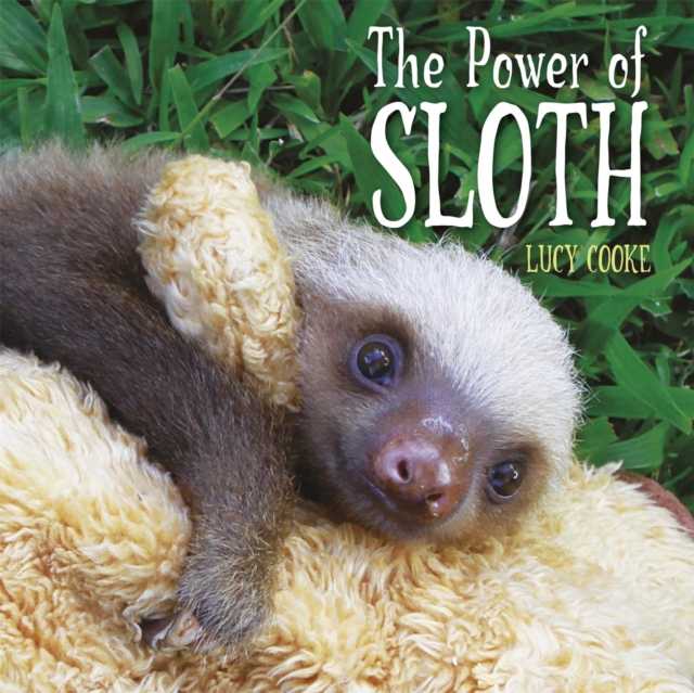 The Power of Sloth, Paperback / softback Book