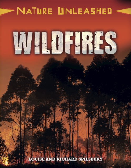 Nature Unleashed: Wildfires, Hardback Book