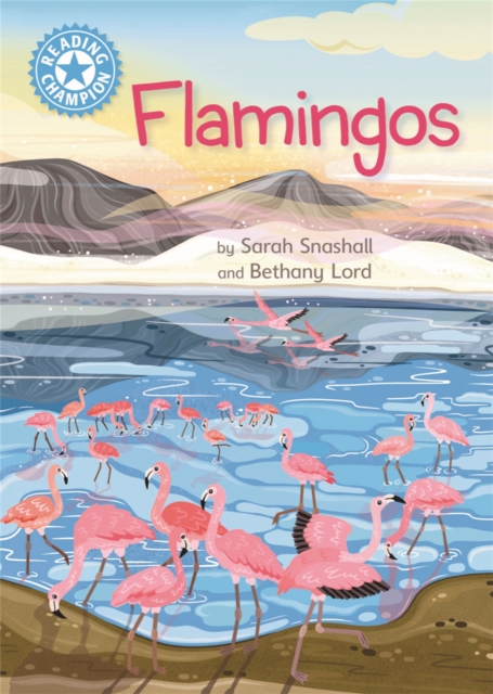 Reading Champion: Flamingos : Independent Reading Non-Fiction Blue 4, Paperback / softback Book