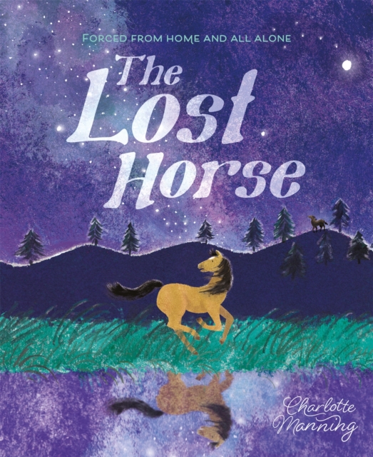 The Lost Horse : Forced from home and all alone, Hardback Book