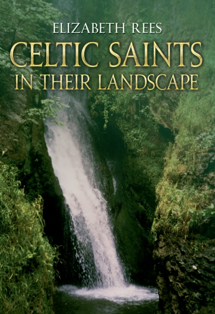 Celtic Saints In Their Landscape, EPUB eBook