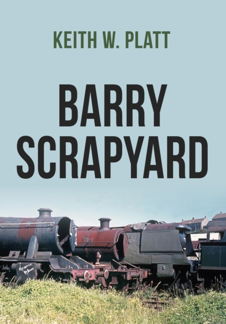 Barry Scrapyard, EPUB eBook